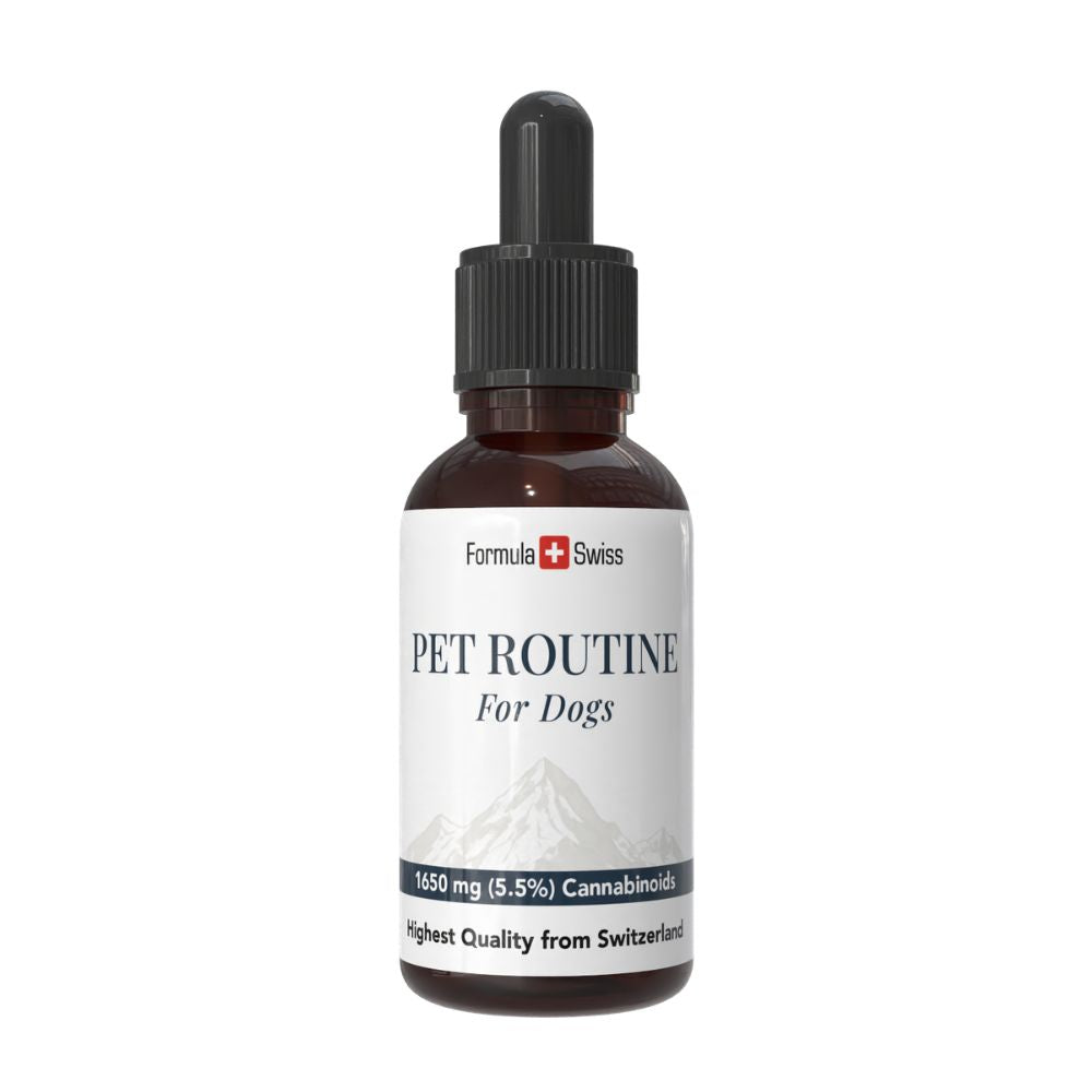 Flasche "Haustierroutine für Hunde" mit einem weißen Etikett auf weißem Hintergrund