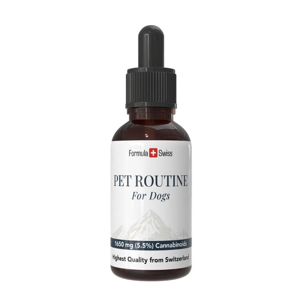 Flasche "Haustierroutine für Hunde" mit einem weißen Etikett auf weißem Hintergrund